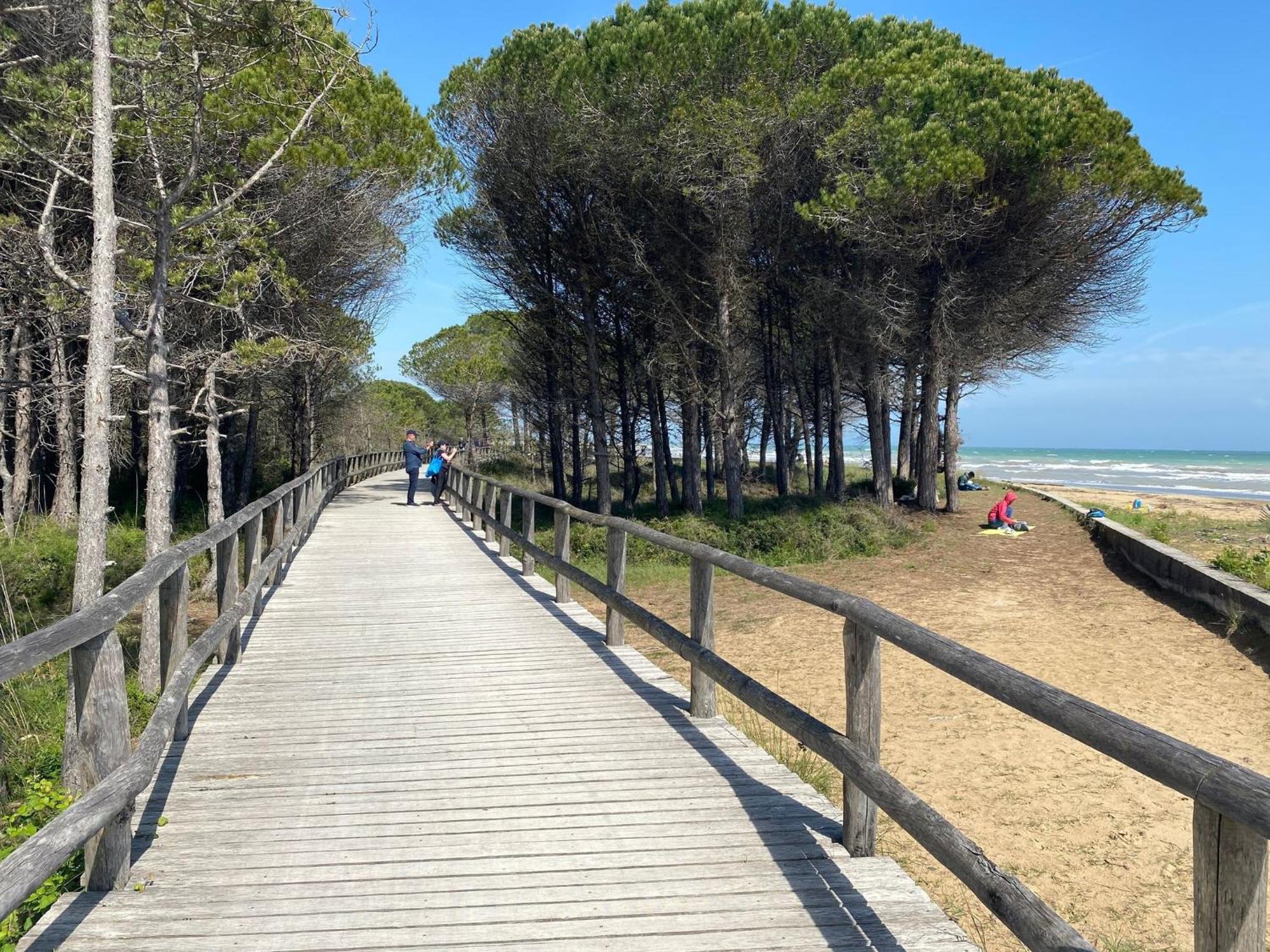 Homely Flat For 5, In A Area In * Bibione